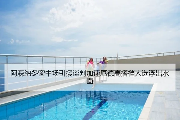 阿森纳冬窗中场引援谈判加速厄德高搭档人选浮出水面